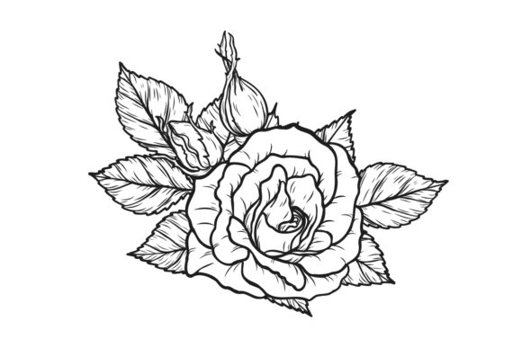 Rose Sublimation: A Designer’s Real-World Embroidery Review